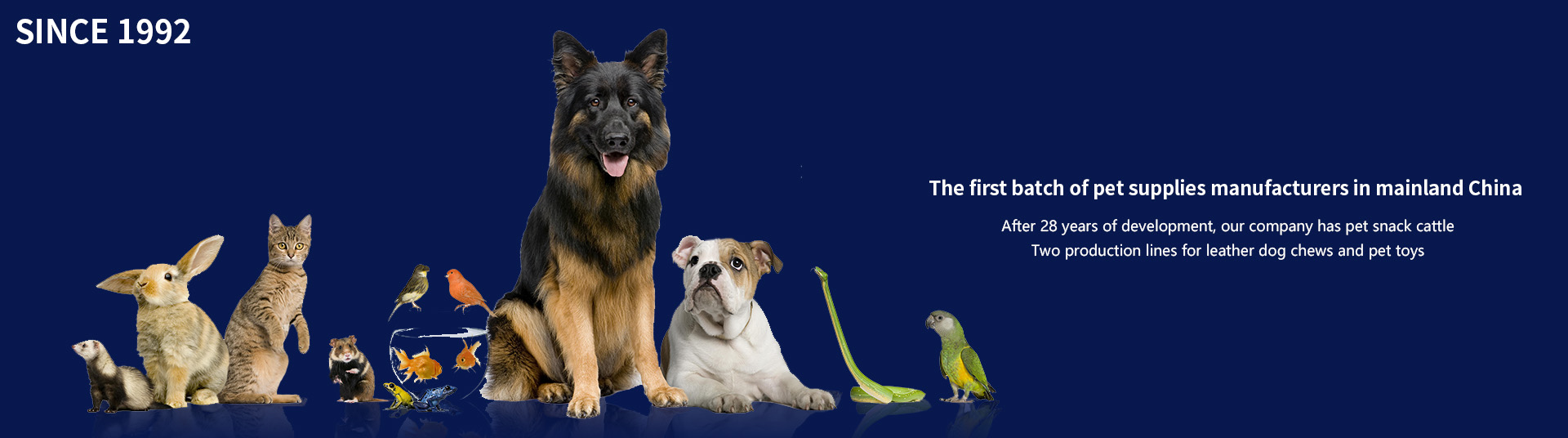 Zhejiang SZ Pet Products Co., Ltd